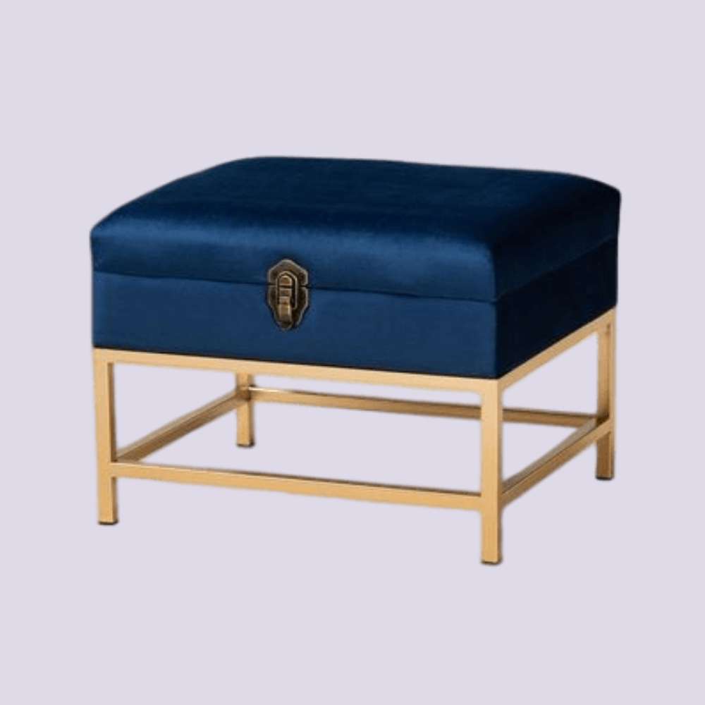 Aliana Luxe Velvet Storage Ottoman